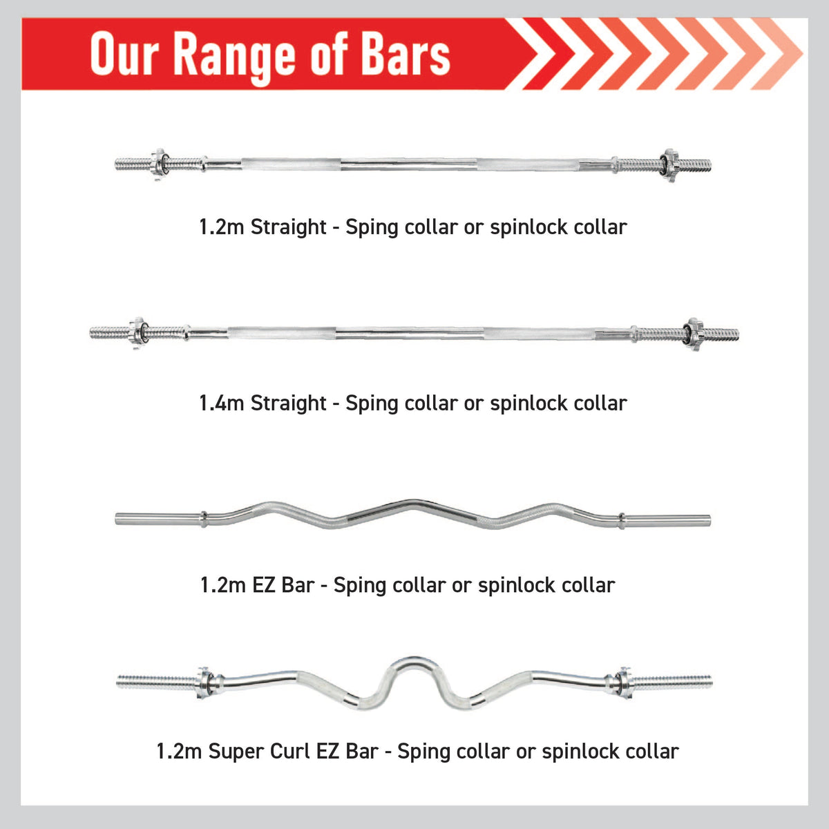 Hammer Curl Bar, Triceps Curl Bar Body Revolution